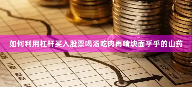 如何利用杠杆买入股票喝汤吃肉再啃块面乎乎的山药