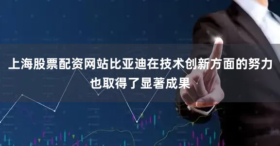 上海股票配资网站比亚迪在技术创新方面的努力也取得了显著成果