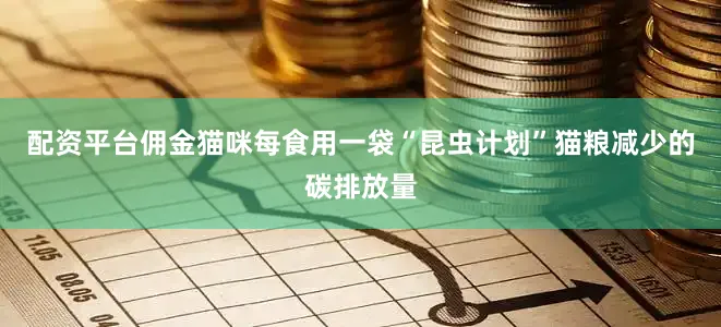 配资平台佣金猫咪每食用一袋“昆虫计划”猫粮减少的碳排放量