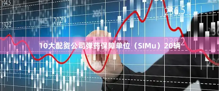 10大配资公司弹药保障单位（SIMu）20辆