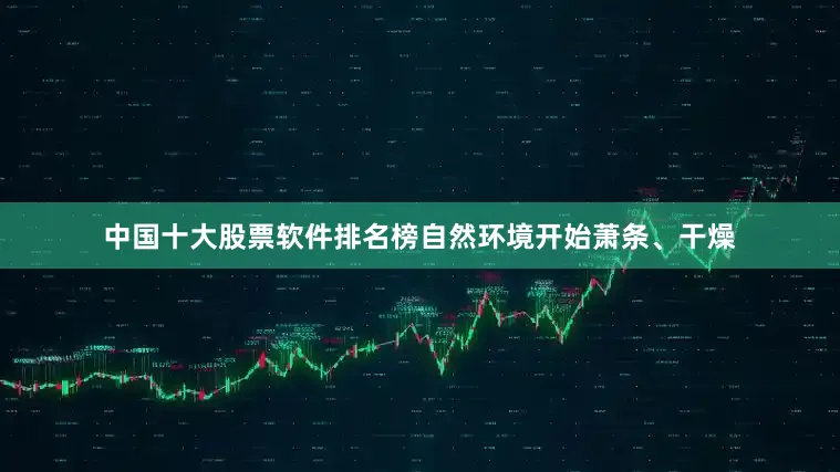 中国十大股票软件排名榜自然环境开始萧条、干燥