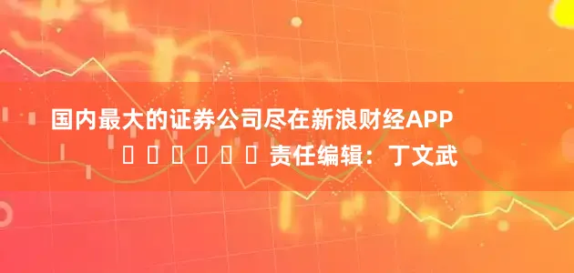 国内最大的证券公司尽在新浪财经APP            						责任编辑：丁文武